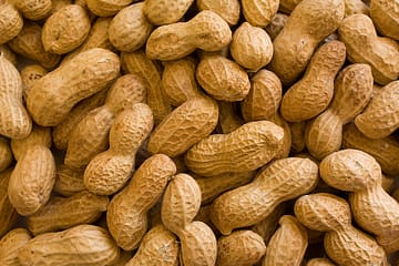 Nut free schools might not be the answer to protect kids with nut allergies like peanut allergies.